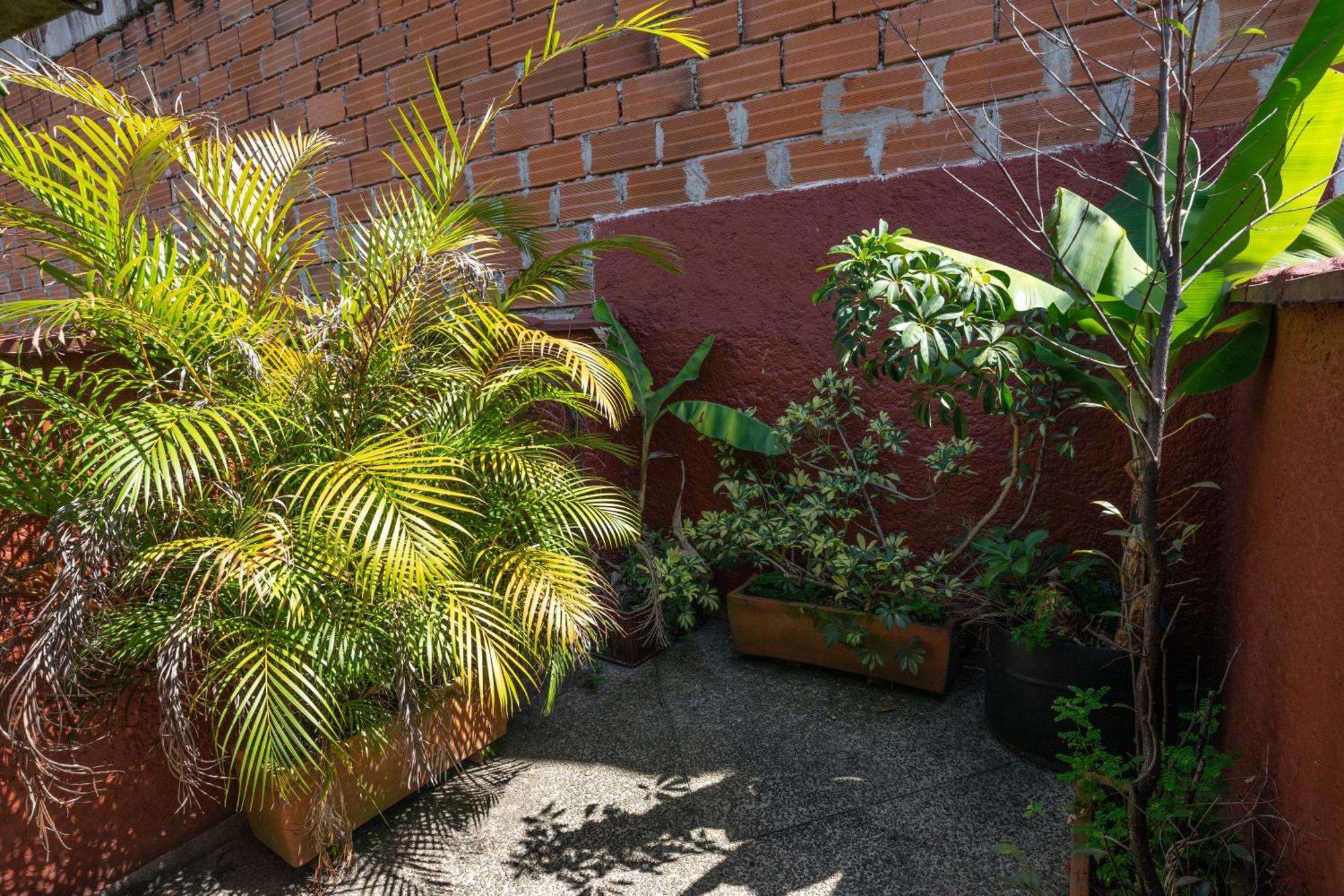 Oasis En El Corazon De Medellin, Laureles Daire Dış mekan fotoğraf